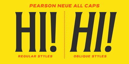 Pearson Neue Font Poster 6