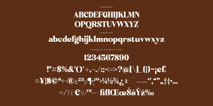 Enigma Mistik Font Poster 7