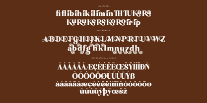 Enigma Mistik Font Poster 8