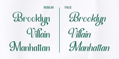 Sidney Script Font Poster 6