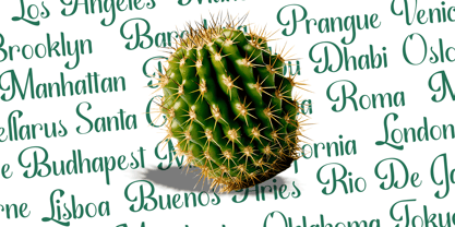 Sidney Script Font Poster 5