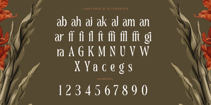 Magiora Font Poster 14