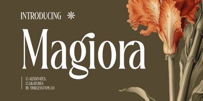 Magiora Font Poster 1