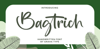 Bagtrich Font Poster 1