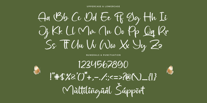 Bagtrich Font Poster 7