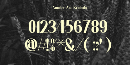Claodi Font Poster 9
