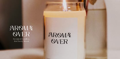 Arleon Domenk Font Poster 12