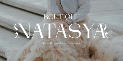 Arleon Domenk Font Poster 7