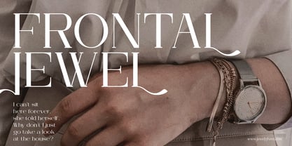 Arleon Domenk Font Poster 9