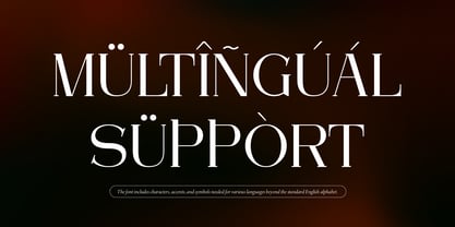 Arleon Domenk Font Poster 14