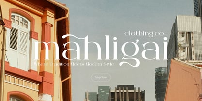 Arleon Domenk Font Poster 5