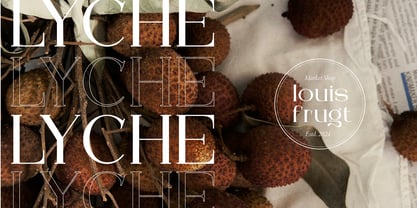 Arleon Domenk Font Poster 8