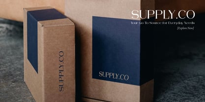 Arleon Domenk Font Poster 11