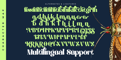 Megilant Font Poster 14