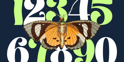 Megilant Font Poster 9