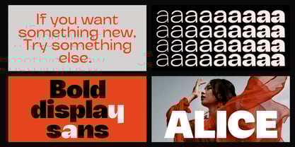 Micuale Font Poster 6