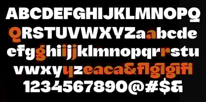 Micuale Font Poster 9