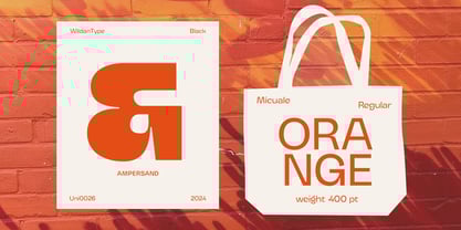 Micuale Font Poster 3