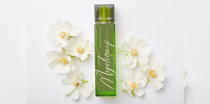 Josephine Octavia Font Poster 4