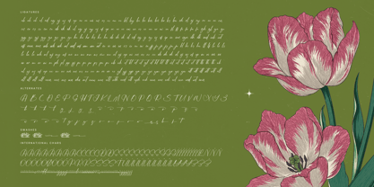 Josephine Octavia Font Poster 15