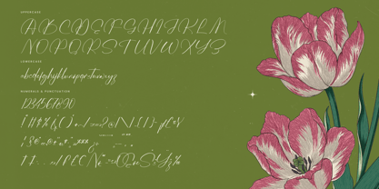 Josephine Octavia Font Poster 14