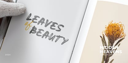 Hidden Heavens Font Poster 6