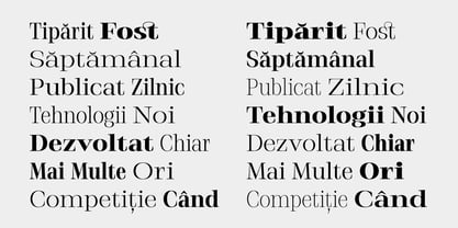 Stigsa Display Font Poster 10