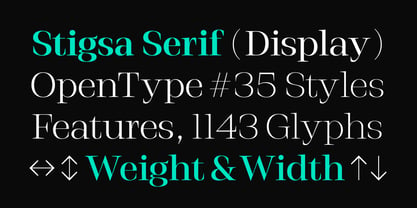 Stigsa Display Font Poster 4