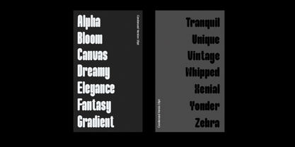 Maximalis Font Poster 6