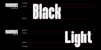 Maximalis Font Poster 10