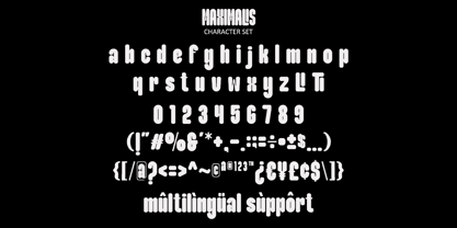 Maximalis Font Poster 13