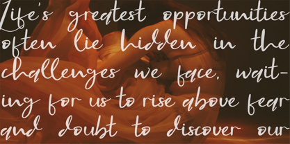 CF Florines Font Poster 7