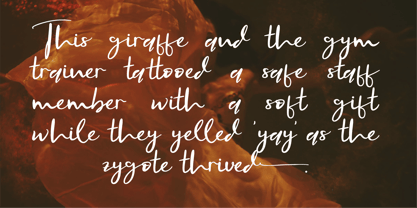 CF Florines Font Poster 4