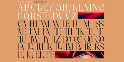Noleum Display Serif Font Poster 10