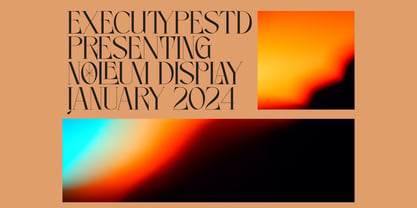 Noleum Display Serif Font Poster 4
