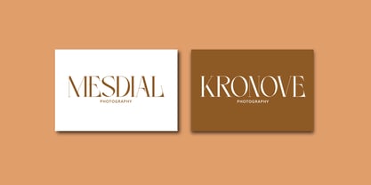 Noleum Display Serif Font Poster 7