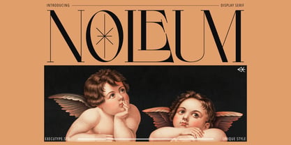Noleum Display Serif Font Poster 1
