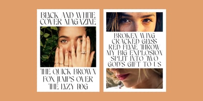 Noleum Display Serif Font Poster 5
