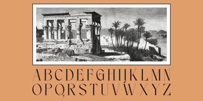 Noleum Display Serif Font Poster 2