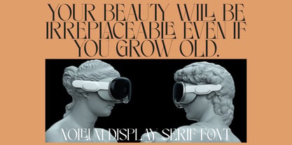Noleum Display Serif Font Poster 12