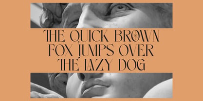 Noleum Display Serif Font Poster 11