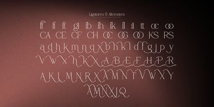 Glica Qidvers Font Poster 14