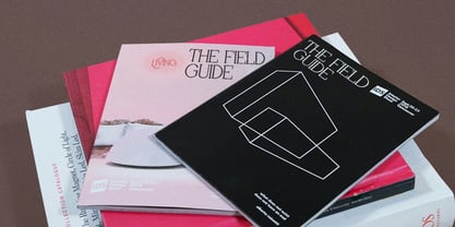 Glica Qidvers Font Poster 10