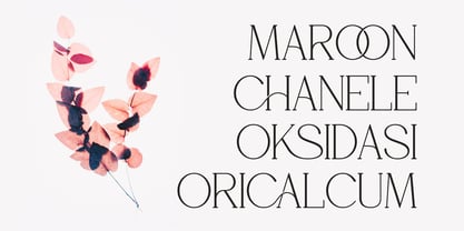 Glica Qidvers Font Poster 5