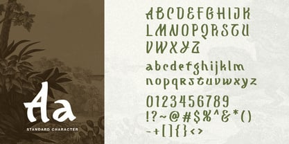 Morgath Font Poster 9