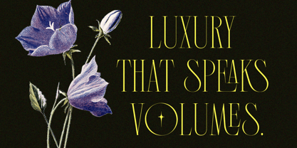 Vagesha Rolenda Font Poster 6