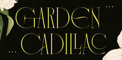 Vagesha Rolenda Font Poster 7
