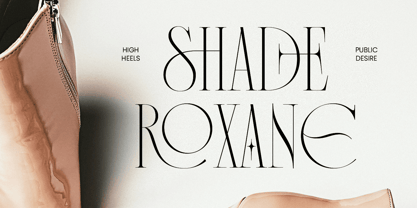 Vagesha Rolenda Font Poster 5