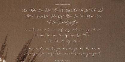 Cherylitta Font Poster 5