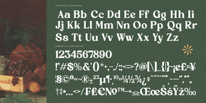 Rustic Delight Font Poster 13